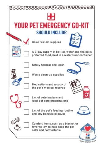 Dog emergency 2024 kit list