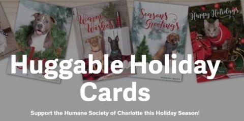 send warm fuzzies to your friends and family this holiday season with huggable holiday cards by the humane society of charlotte and boingo graphics - Humane Society Christmas Cards send warm fuzzies to your friends and family this holiday season with huggable holiday cards by the humane society of charlotte and boingo graphics - Humane Society Christmas Cards