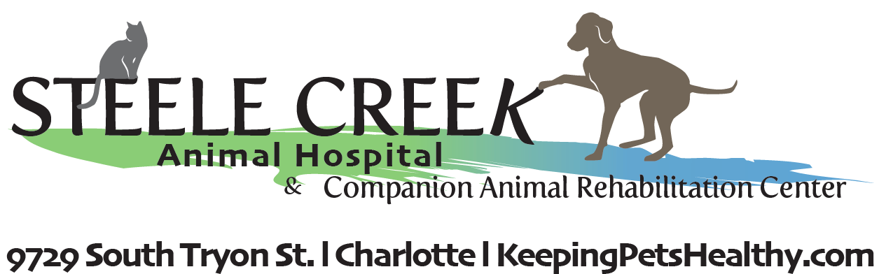 Steele Creek Animal Hospital and Companion Animal Rehabilitation Center