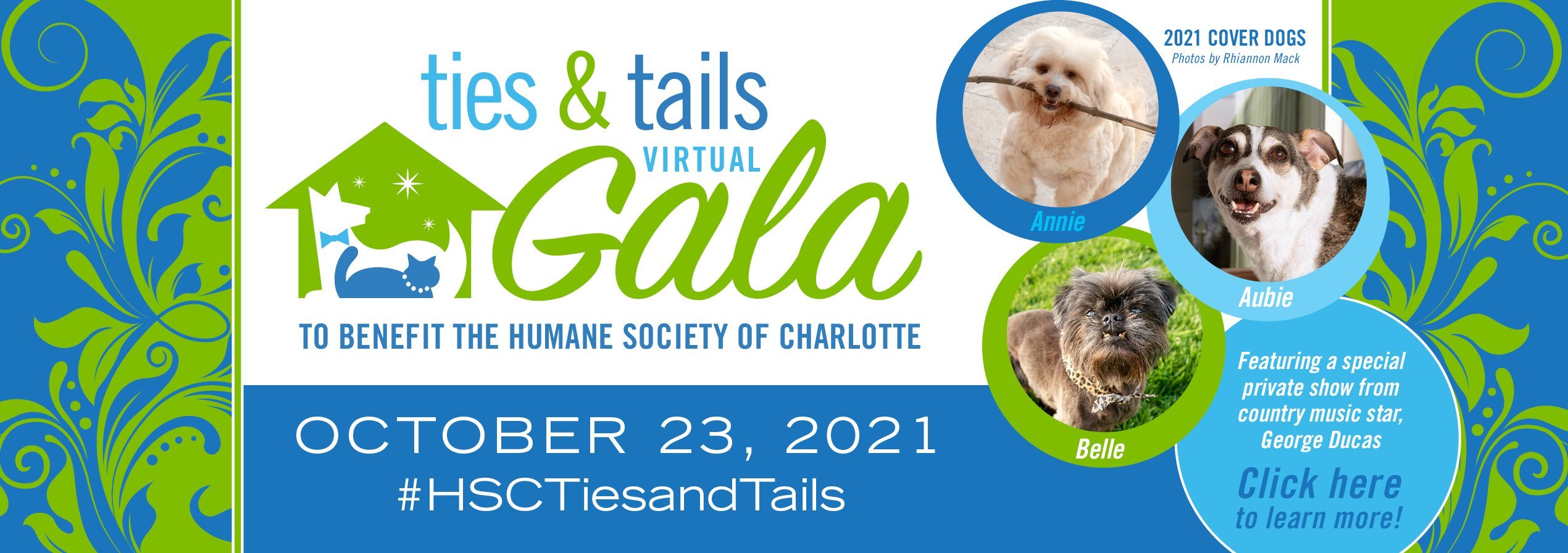 The Humane Society of Charlotte | Pet Adoptions & Animal Shelter