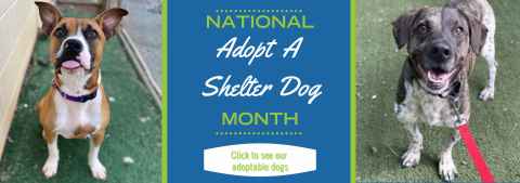 Humane Society of Charlotte