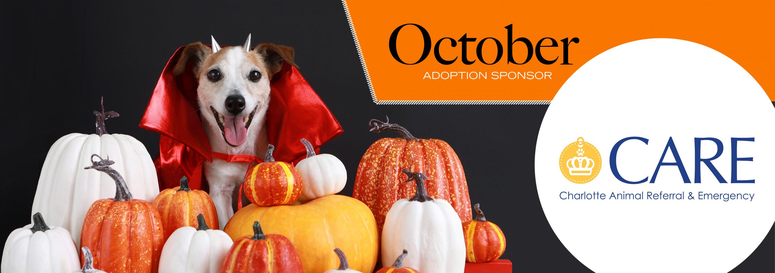 Humane Society of Charlotte