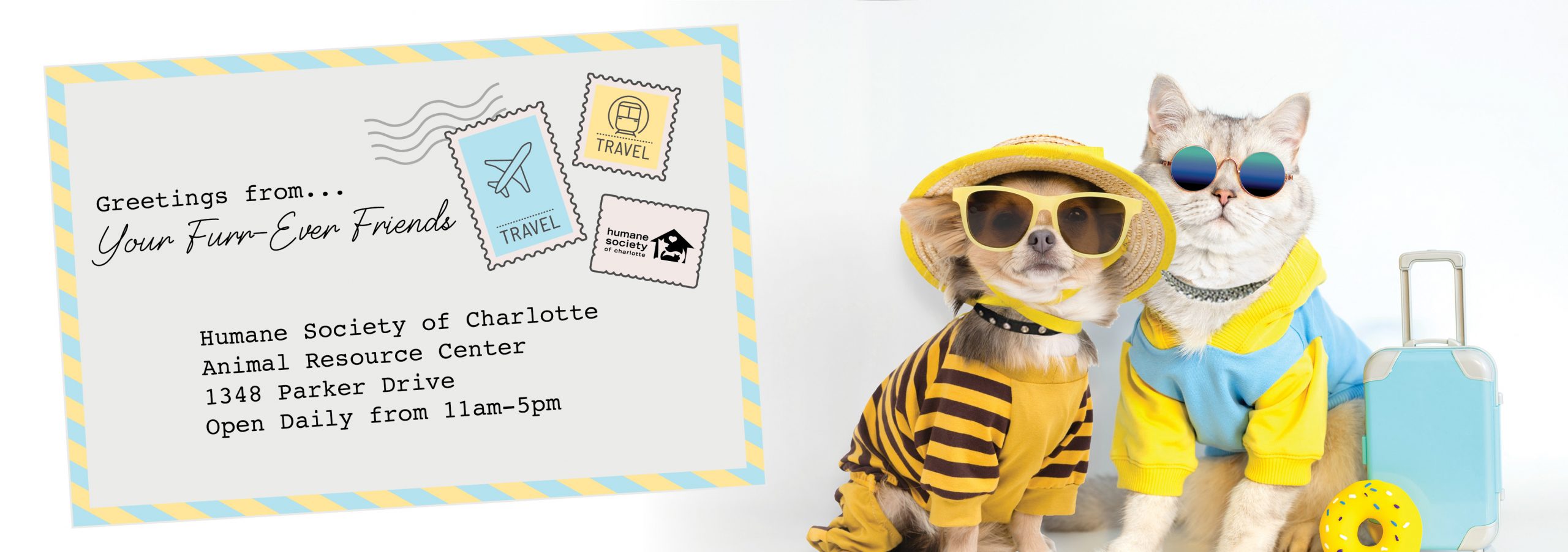 The Humane Society of Charlotte | Animal Adoptions & Shelter