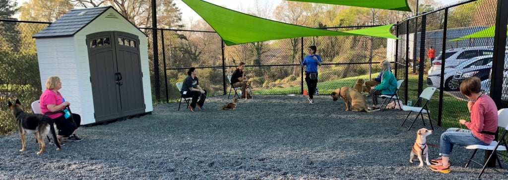 Charlotte Dog Training class