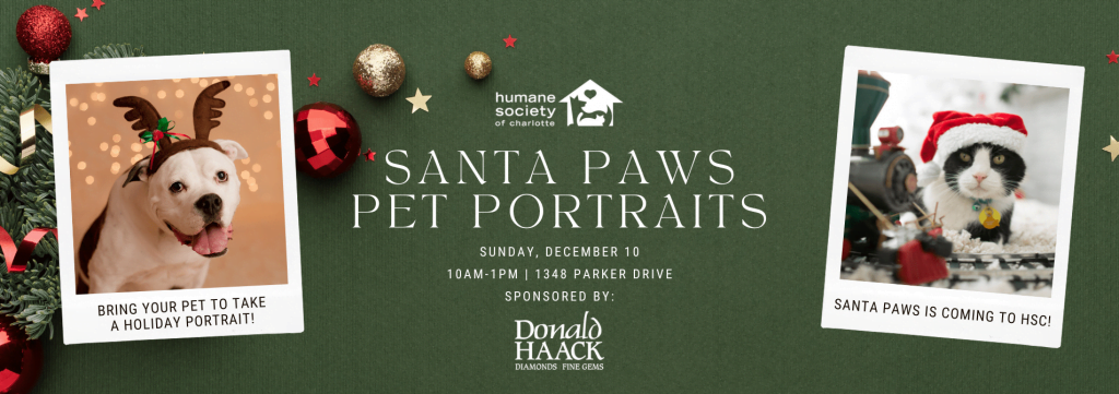 Santa Paws: Christmas Pet Portraits banner