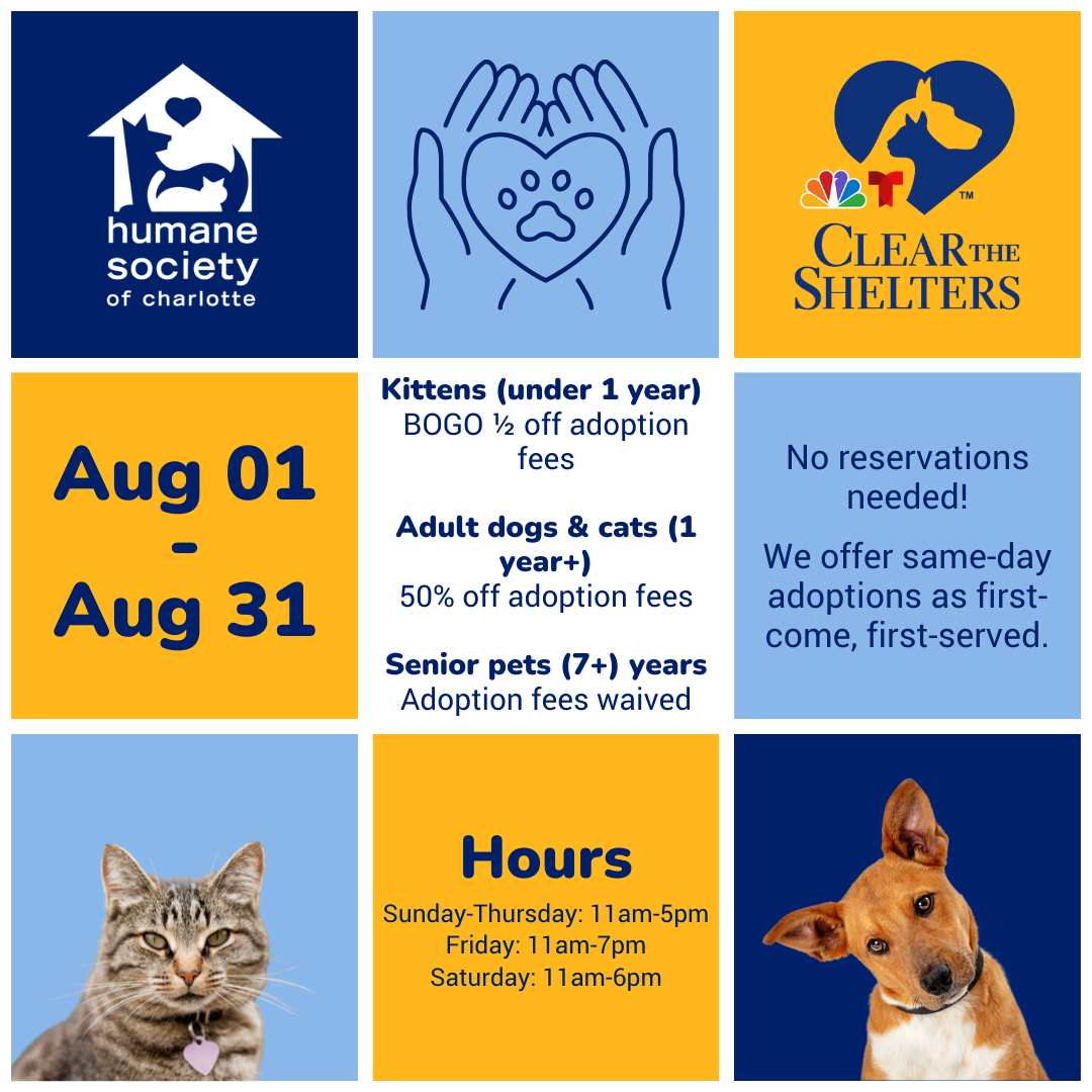 Clear the Shelters™ Returns to Help Pets Find Homes This August ...